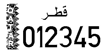 Image of the license plate with borders removed